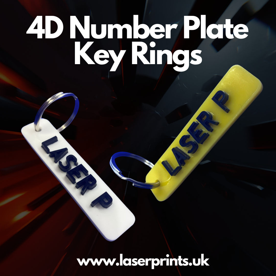 License 2025 plate keyring